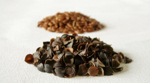ComfyComfy buckwheat hulls